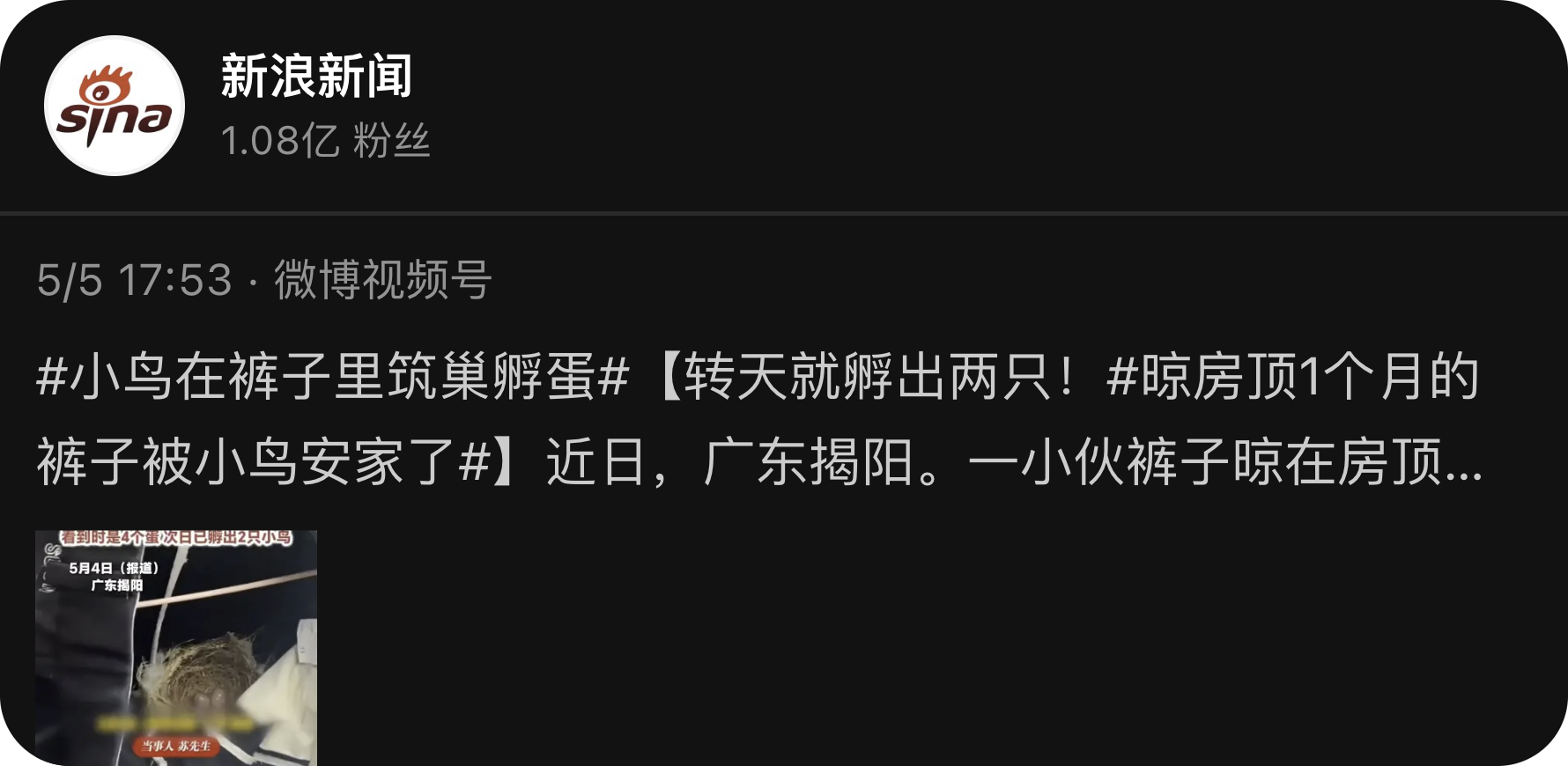Weibo Profile Feed desktop widget preview